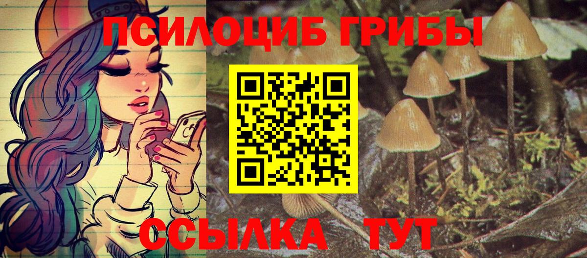 Псилоцибиновые грибы MAGIC MUSHROOMS  дарнет шоп  Сегежа  Вход с VPN  Псилоцибиновые грибы MAGIC MUSHROOMS 